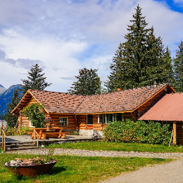 House in forest