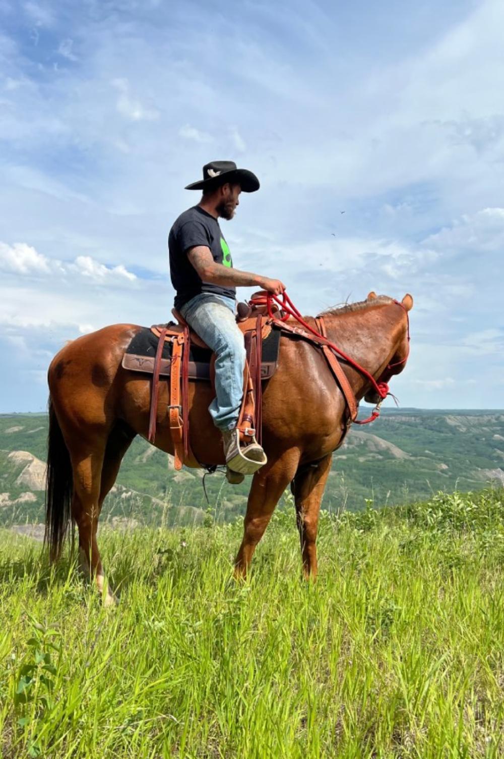 Man and horse in a sunny day in forest