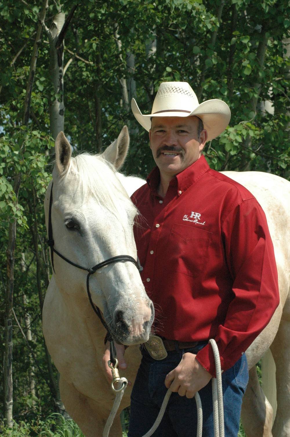 Man and horse in a sunny day