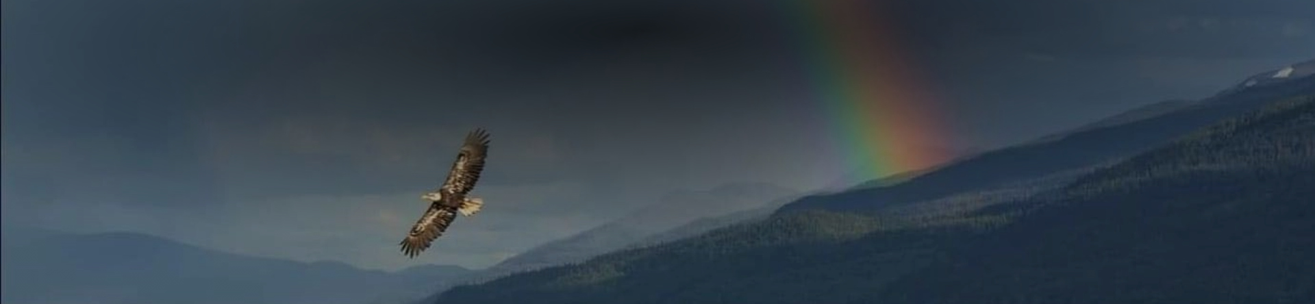 Mountain with eagle flying