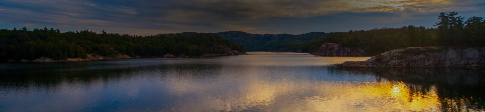 River sunset and forest