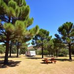 Camping site number 14 150x150