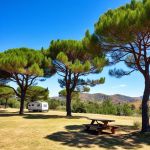 Camping site number 15 150x150