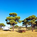 Camping site number 16 150x150