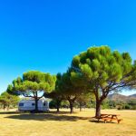 Camping site number 19 sunshine 150x150