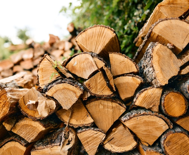Firewood