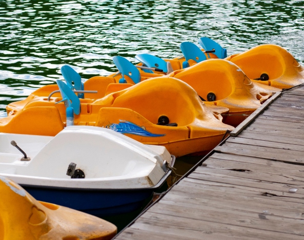 Paddle boats