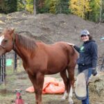 Horse ride adventure 150x150