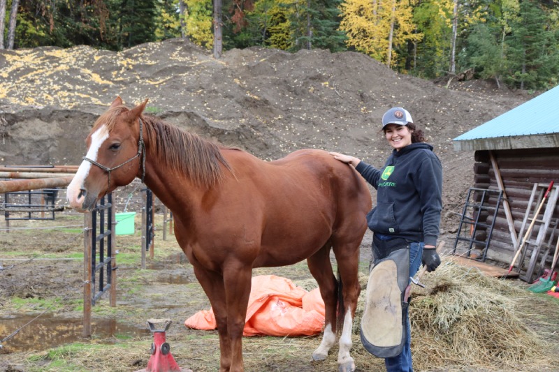 Horse ride adventure