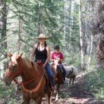 Niky riding horse forest 150x150