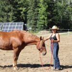 Niky with horse 150x150