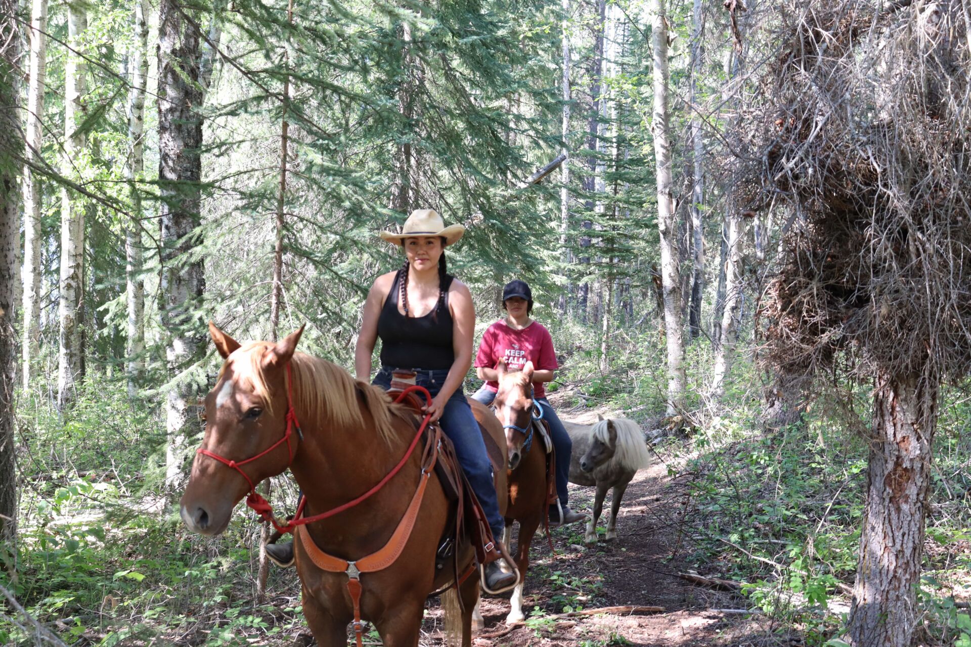 Green Dreams Sustutdene Eco Resort