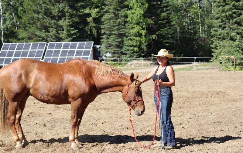 Sustainable Travel Practices