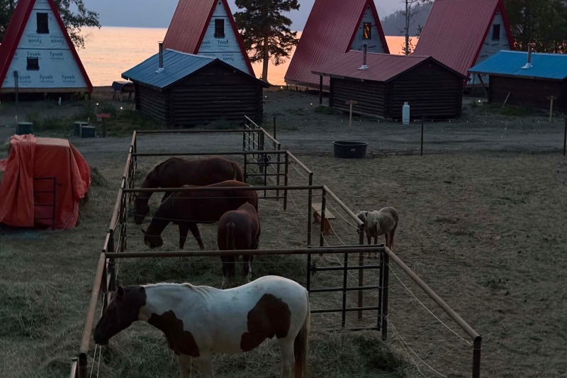 Sustutudene resort sunset horses