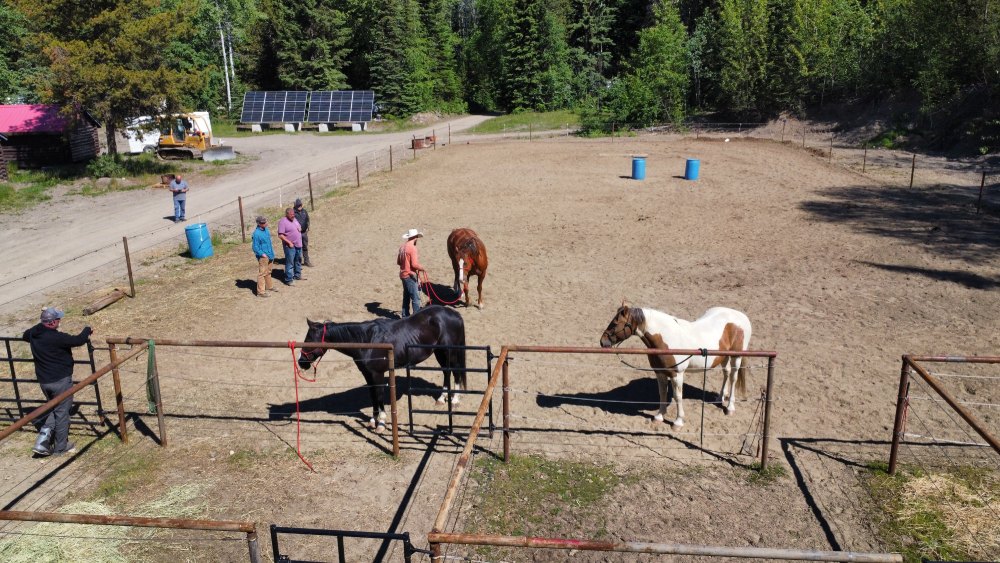 Horse corral